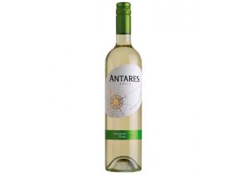 Santa Carolina Antares Sauvignon Blanc